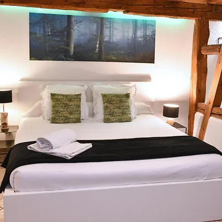 Appartement Zen - Maison Alsacienne - Lit King Size